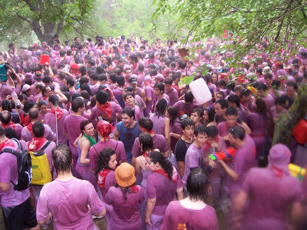 ವೈನ್ ಫೆಸ್ಟಿವಲ್. wine festival